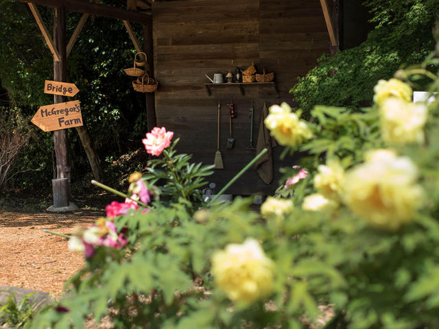 ΉO@Peony Garden Tokyo in Tsukuba