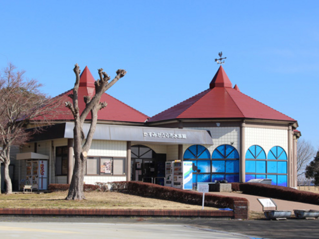 �����݂�����s������