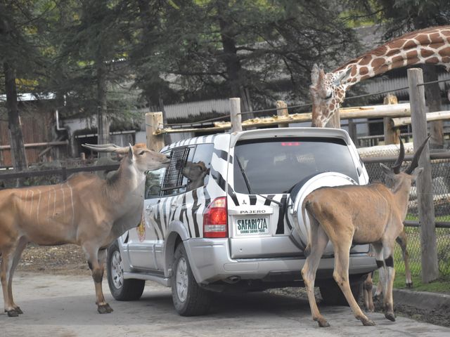 �Q�n�T�t�@���p�[�N