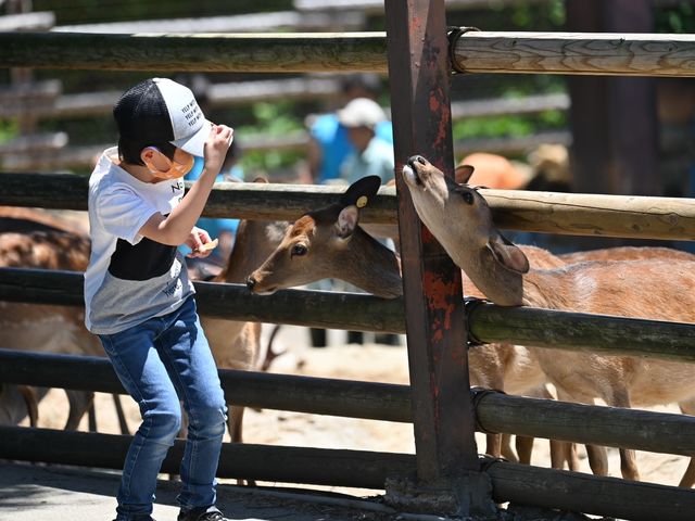 �Q�n�T�t�@���p�[�N