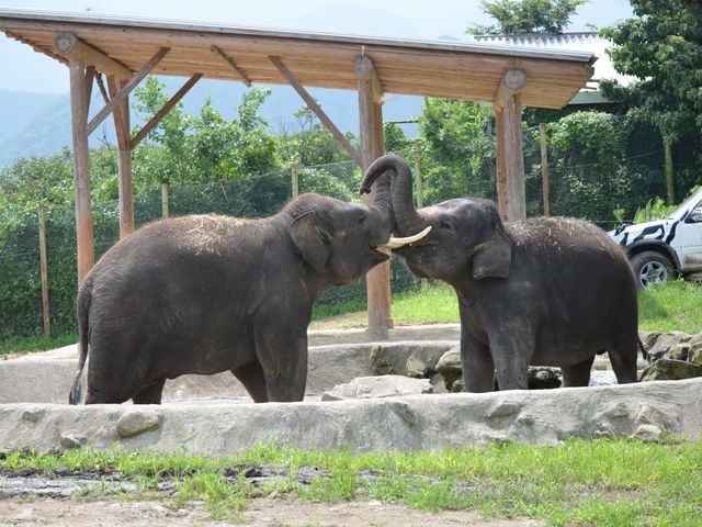 �Q�n�T�t�@���p�[�N�̎ʐ^1