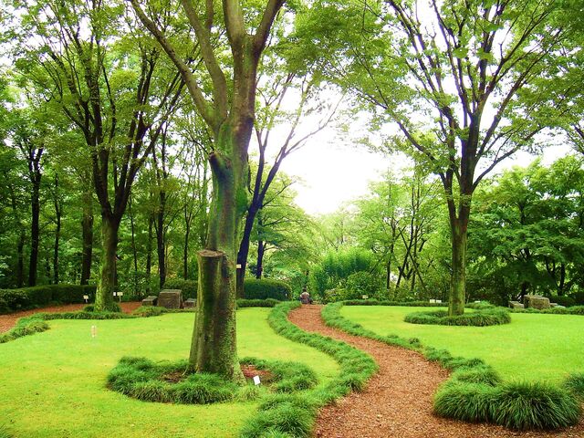 �ԒːA����