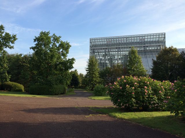 �x�R�������A����