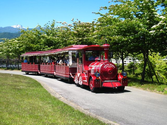 [hgC1l300~_Ђ邪̍@q̗̂