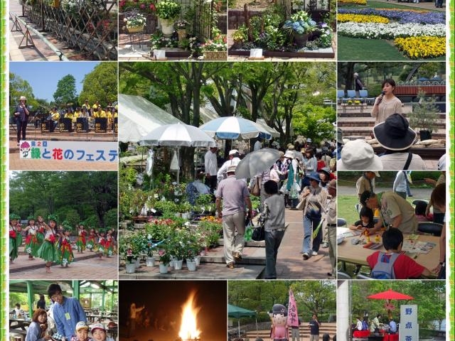 �s�s�Ή��A�����i�O���[���s�A�t����j