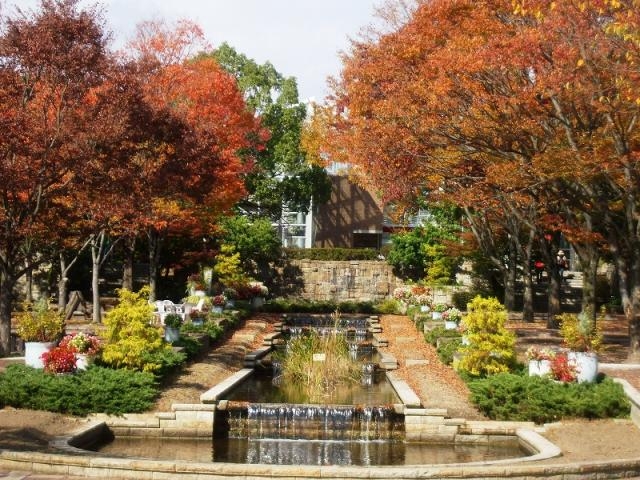 �s�s�Ή��A�����i�O���[���s�A�t����j