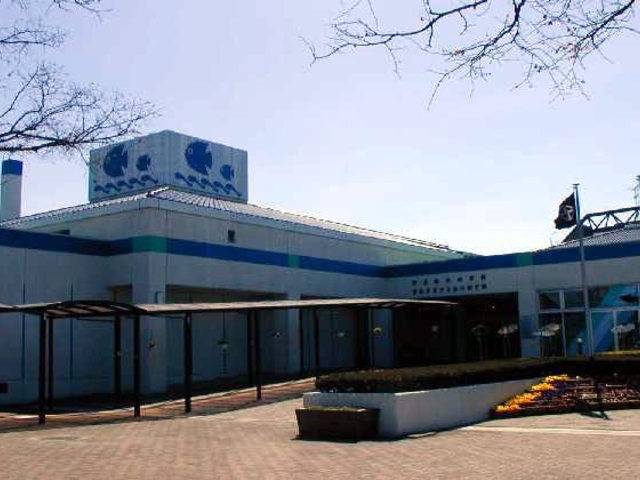 �ɓ�C�l������