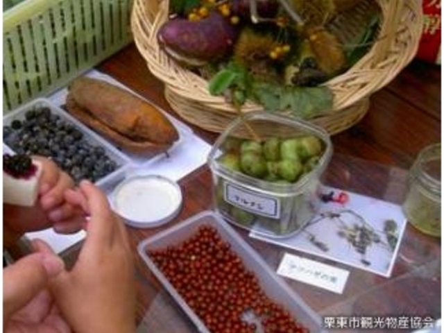 IRώ@̐XCxg_IRώ@̐X