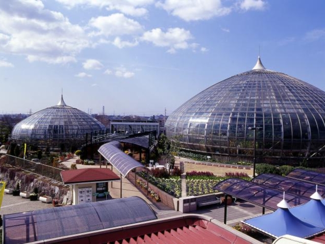 �蕿�R�����A����_�P�H�s���蕿�R�����A����