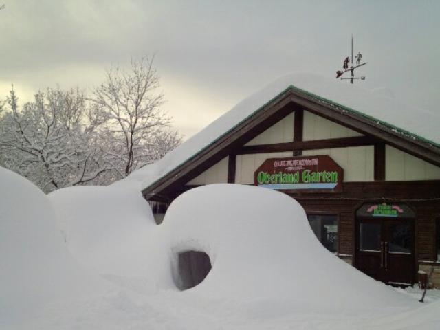 ���܂��烌�X�g����_�����̐X �i�`�������s���A�K�[�f���@�A�n�����A���� (�c���[�n�E�X&���܂��烌�X�g����)