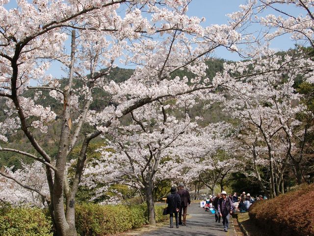 緑化 センター