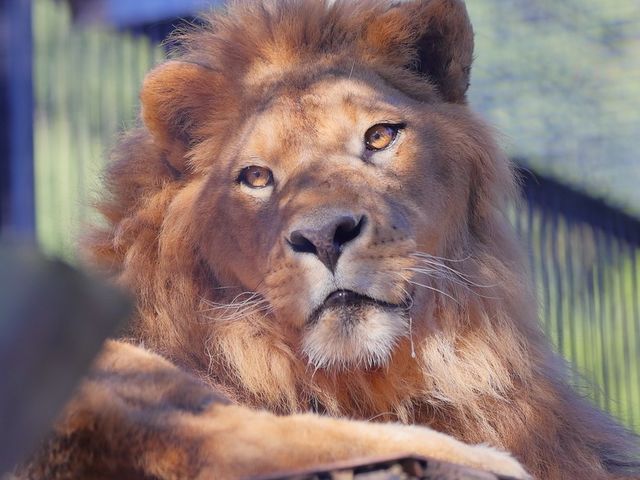 ����Ƃ蓮����