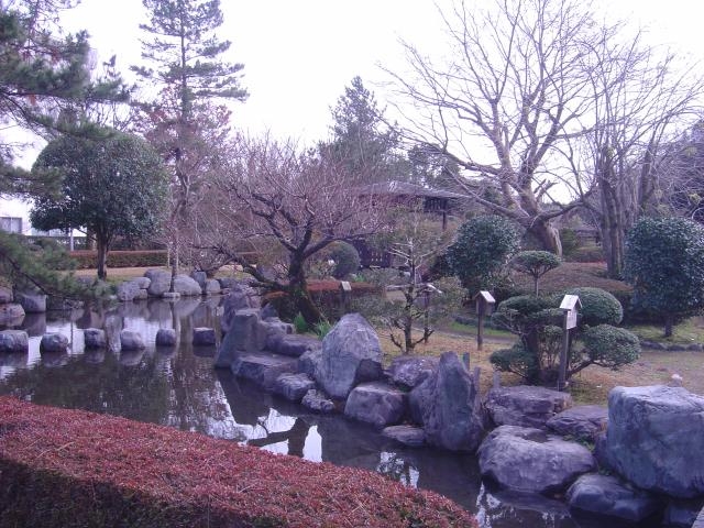 �s�閜�t�A�����̎ʐ^1