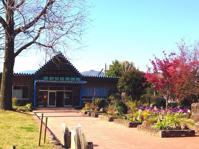 �����A����