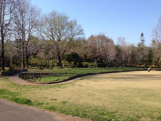 �����A����