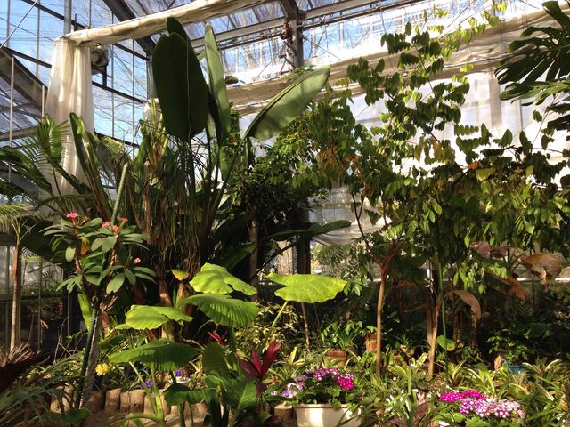 �����A����