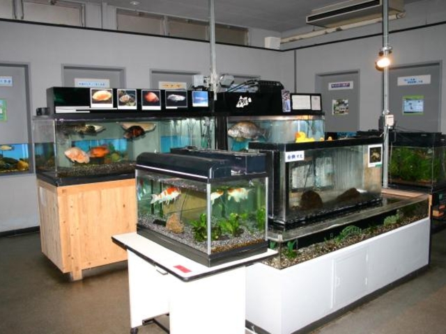 ����䋬�W����������