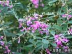 �͂������̎ʐ^1