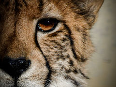 �Q�n�T�t�@���p�[�N�̎ʐ^1