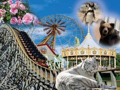 �������������̎ʐ^1