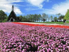 ひるがの高原 牧歌の里の写真一覧 じゃらんnet