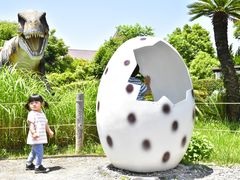 恐竜エリアをお散歩「ディノエイジウォーク」_伊豆ぐらんぱる公園