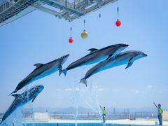 マリンワールド海の中道の写真一覧 じゃらんnet