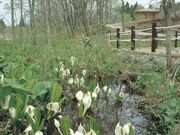 �R�`�s�쑐���̎ʐ^1