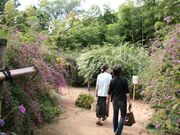 �͂������̎ʐ^2