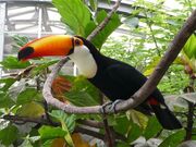 �䓪�����u�Ԃ��傤�V�فv�̎ʐ^1