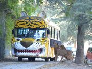 �Q�n�T�t�@���p�[�N�̎ʐ^2