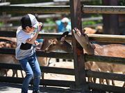 �Q�n�T�t�@���p�[�N�̎ʐ^4