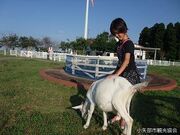 ��t�R�ӂꂠ�������L��̎ʐ^1