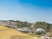 �ƃP�r�����A�����̎ʐ^1