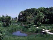 ��q�s���R���ԉ��̎ʐ^1