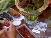 �I�����R�ώ@�̐X�̎ʐ^4