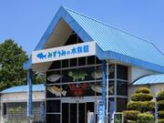 �A�N�A�����̎ʐ^1