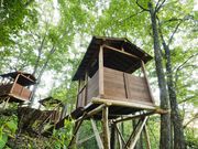 ̐X i`sAK[f@AnA (c[nEX&܂烌Xg)̎ʐ^2