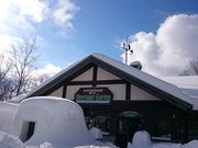 ̐X i`sAK[f@AnA (c[nEX&܂烌Xg)̎ʐ^3