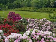 QPI̐XEIɔXѐA̎ʐ^1