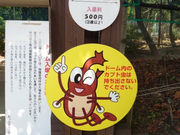 �ނݍ��������̎ʐ^2