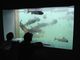 サケのふるさと千歳水族館の写真4
