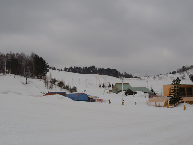 �����q���Y