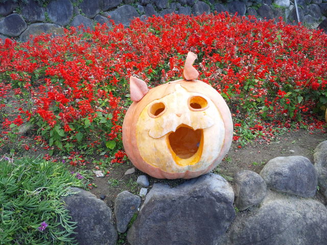 ���Ò��^������