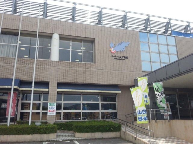 �o�[�h�n�~���O���z�i�O�@�̓��j�̎ʐ^1