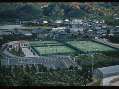 �L�c�쒬�����e�j�X�����̎ʐ^1