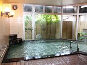 �o�[�h�n�~���O���z�i�O�@�̓��j�̎ʐ^2