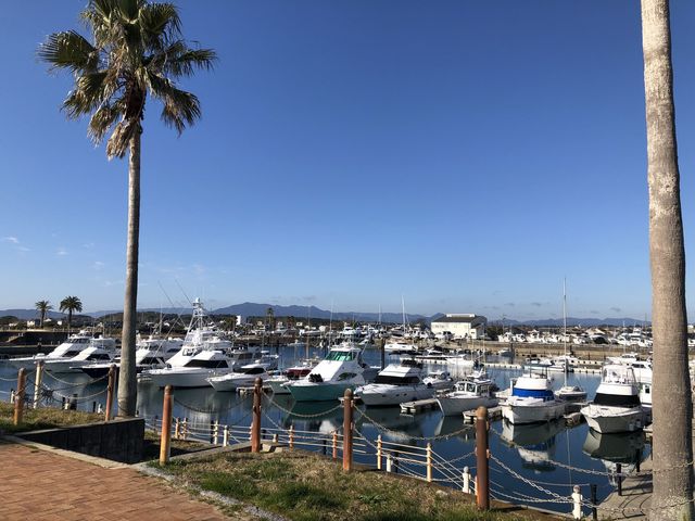 D̗X劽}łIʓrrW^[܂Bv\B_}[i͌|