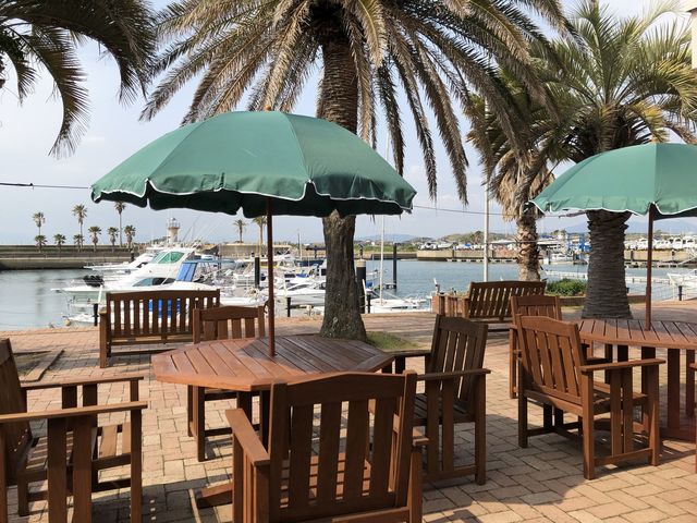 BBQeXȁ@CɕԑD𒭂߂ȂBBQII}[i͌|犐][gC_ґȂЂƂƂ߂_}[i͌|