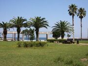 �}�����p�[�N�V���l�̎ʐ^2